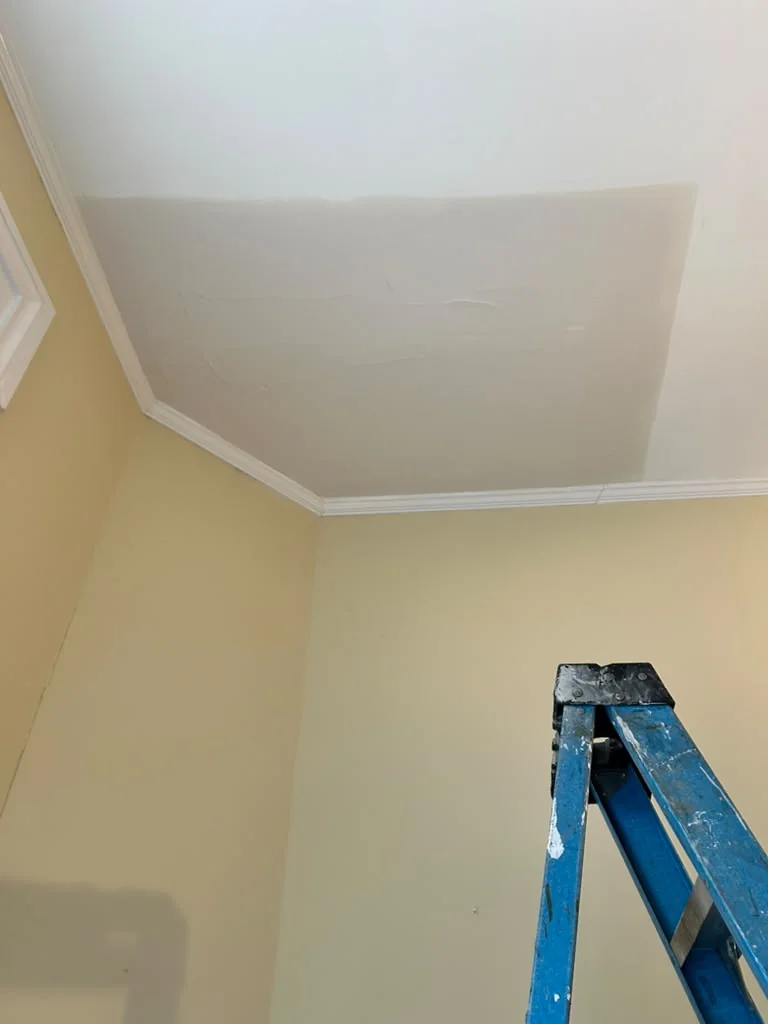 Ceiling after a drywall patch was installed and floated